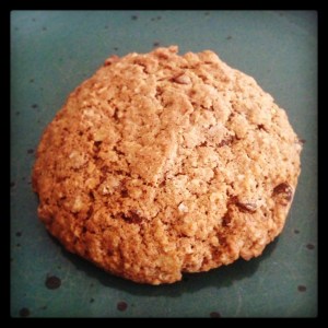 Chocolate Chip Cookie Bliss ;)